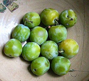 Greengages