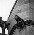 gargoyle