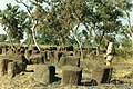 Image 16Megalithic alignments in Senegal (from History of Senegal)