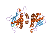 2c0j: CRYSTAL STRUCTURE OF THE BET3-TRS33 HETERODIMER