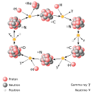 Overview of the CNO-I cycle. The helium nucleus is released at the top-left step