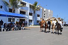 Peruvian Paso in a parade in Victor Larco District.