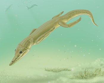 Life restoration of Diandongosuchus fuyuanensis