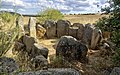 Dolmen