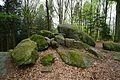 Granodiorit-Felsformation Götzenstein nordwestlich Ober-Abtsteinachs