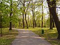 park Bernarskiego (na Pogórzu), 1896