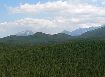 Zadnia Kopa Sołtysia, Ostry Wierch, Suchy Wierch Waksmundzki i Rówień Waksmundzka. W tle Tatry Bielskie i Wysokie