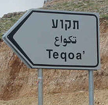 Τριγλωσσική πινακίδα σήμανσης για είσοδο στην Θεκουέ (Teqoa').