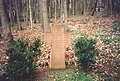 Kriegerdenkmal auf dem Altenberg aus der „Schlacht bei Kissingen“