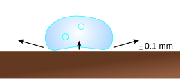 Tekening. Een druppel zweeft een tiende millimeter boven het oppervlak. De damp oefent een opwaartse kracht uit op de holle onderkant van de druppel, terwijl langs de zijkanten damp verdwijnt.