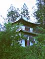 'King Cypress Temple', from its balcony one could catch the giant King Cypress in single photo-frame see.