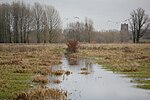 Groesplaat met kerktoren van Woudrichem op de achtergrond