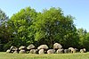 Terrein met de hunebedden D19 en D20