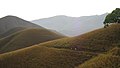 the hills of Kuduremukha range