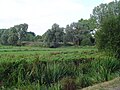 Natuurreservaat Bourgoyen-Ossemeersen