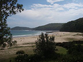 Pebbly Beach im Murramarang-Nationalpark