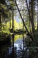 Wasserlauf zwischen den Seen