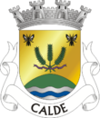 Vlag van Calde