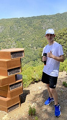 Hexagonal wooden Beehives, a view of the Vavatsinia Mountains and a Tourist Boy next to them.