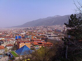 Bursa