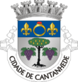 Vlag van Cantanhede