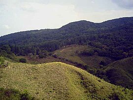 Waldreservat El Montuoso, Lunge von Azuero