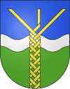 Wappen von Isorno