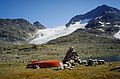 Park Narodowy Jotunheimen – na pierwszym planie kamienny kopczyk, norweska metoda oznaczania szlaku turystycznego