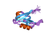 2ain: Solution structure of the AF-6 PDZ domain complexed with the C-terminal peptide from the Bcr protein