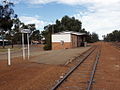 Perenjori