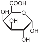 صورة SVG جديدة