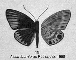 Alesa fournierae