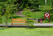 Waldsee