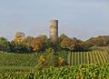 Burgruine Scharfenstein mit Turmberg