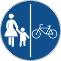 B42 Divided bicycle path and pedestrian path