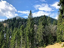 Two mountain peaks are depicted. Much of the image is forested.