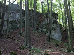 Skała Ostrężnik z widoczną szczeliną