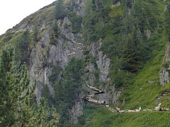 Das Finale: Aufstieg zum Aletschbord auf der Belalp