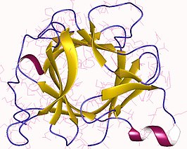 IL-1β