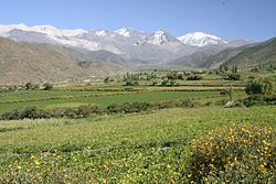 The Calchaquí Valleys