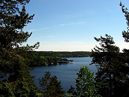 View of Delsjön through fir trees