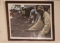 Coffee plantation workers