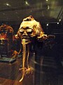Head trophy, Munduruku people, northern Brazil, c. 1820
