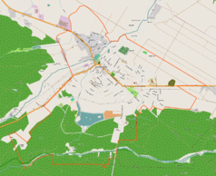 Mapa konturowa Janowa Lubelskiego, blisko centrum u góry znajduje się punkt z opisem „Muzeum Fotografii w Janowie Lubelskim”