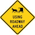 (Buggy symbol) Using Roadway Ahead (W11-H14a)