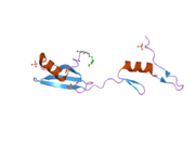 2ci8: SH2 DOMAIN OF HUMAN NCK1 ADAPTOR PROTEIN - UNCOMPLEXED