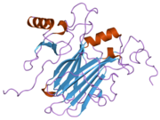 2ffk: Solution structure of the complex between poxvirus-encoded CC chemokine inhibitor vCCI and human MIP-1beta, minimized average structure