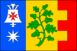 Vlag