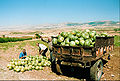 Eastern Anatolia - Turkey, 2002