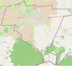 Mapa konturowa Żelechowa, blisko centrum na lewo u góry znajduje się punkt z opisem „Nowy cmentarz żydowski w Żelechowie”